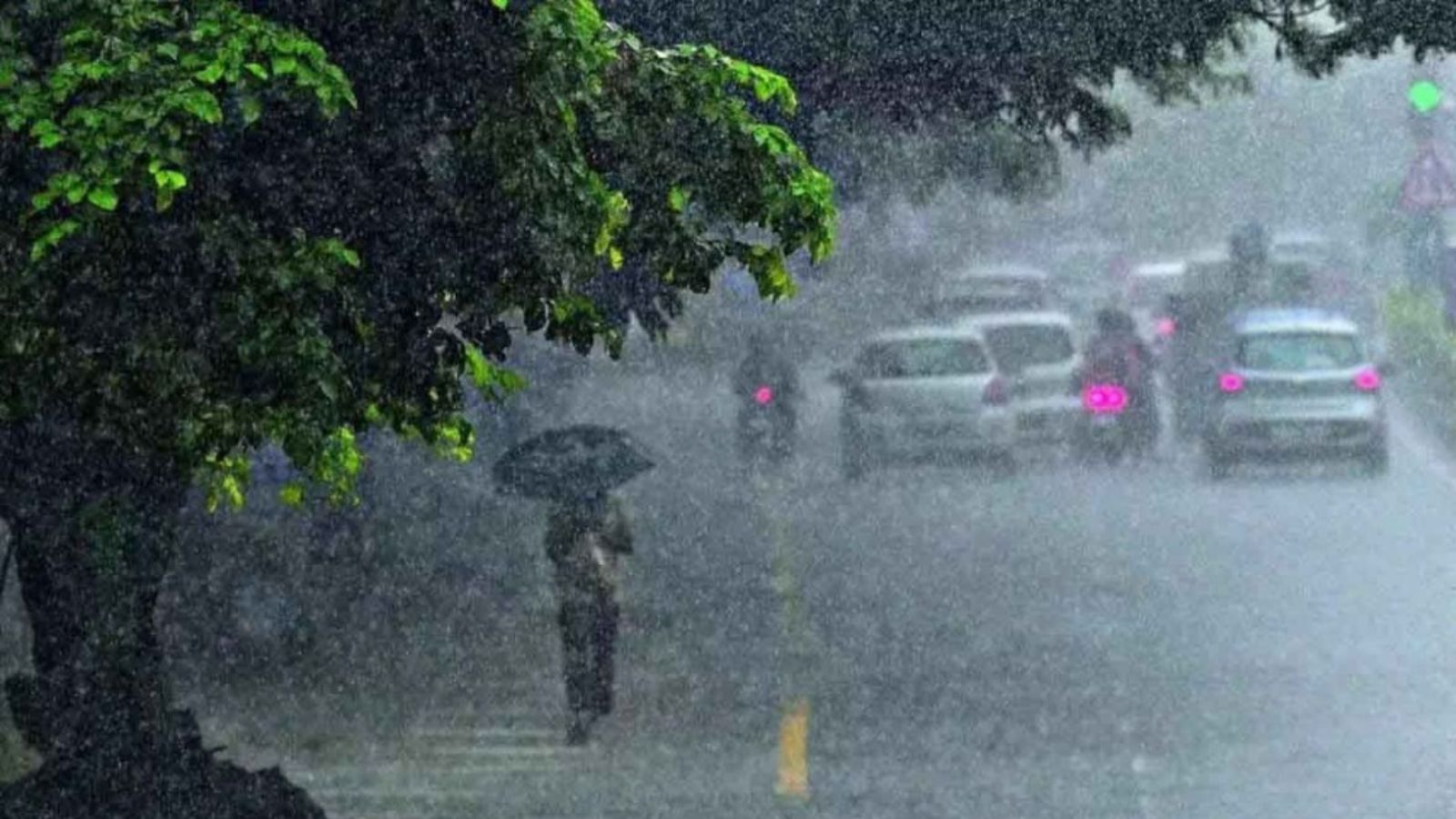 Punjab Weather, IMD Alert, Rain in Punjab, Western Disturbance, Chandigarh Cold Wave, Punjab Rain Forecast, Weather News Punjab.